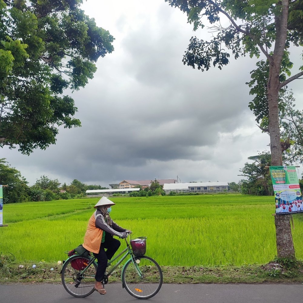 A very Indonesian landscape.